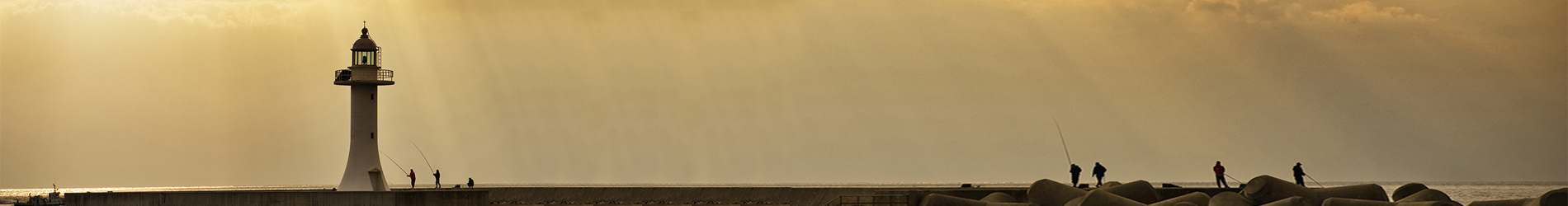 網(wǎng)站維護公司簡介